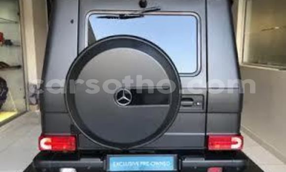 اشتري مستعمل Mercedes-Benz G-klasse AMG Black سيارة في Maputsoa في Leribe اشتري مستعمل Mercedes-Benz G-klasse AMG Black سيارة في Maputsoa في Leribe