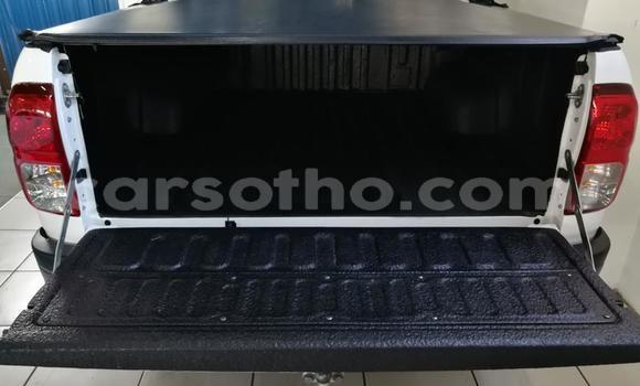 اشتري مستعمل Toyota Hilux White سيارة في Hlotse في Leribe اشتري مستعمل Toyota Hilux White سيارة في Hlotse في Leribe