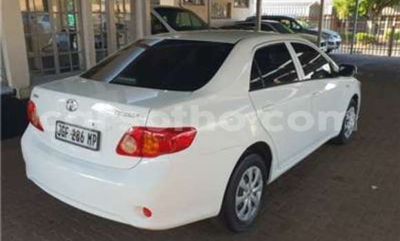 اشتري مستعمل Toyota Corolla White سيارة في Maseru في Maseru اشتري مستعمل Toyota Corolla White سيارة في Maseru في Maseru