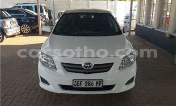 اشتري مستعمل Toyota Corolla White سيارة في Maseru في Maseru اشتري مستعمل Toyota Corolla White سيارة في Maseru في Maseru