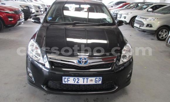 Acheter Occasion Voiture Toyota Auris Noir à Maseru, Maseru Acheter Occasion Voiture Toyota Auris Noir à Maseru, Maseru