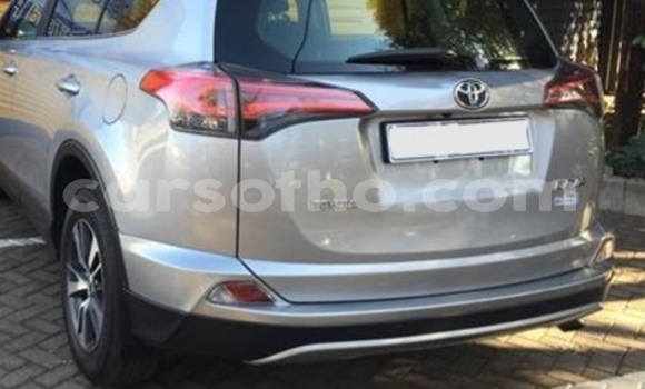 Sayi Na hannu Toyota RAV4 Silver Mota in Hlotse a Leribe Sayi Na hannu Toyota RAV4 Silver Mota in Hlotse a Leribe