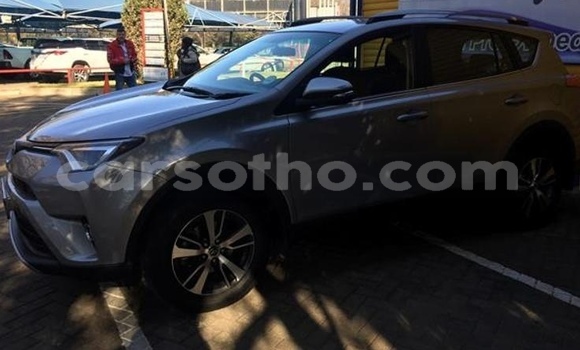 Sayi Na hannu Toyota RAV4 Silver Mota in Hlotse a Leribe Sayi Na hannu Toyota RAV4 Silver Mota in Hlotse a Leribe