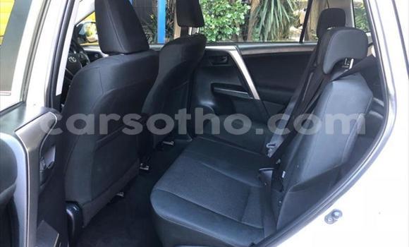 Sayi Na hannu Toyota RAV4 Silver Mota in Hlotse a Leribe Sayi Na hannu Toyota RAV4 Silver Mota in Hlotse a Leribe