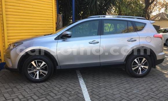 Sayi Na hannu Toyota RAV4 Silver Mota in Hlotse a Leribe Sayi Na hannu Toyota RAV4 Silver Mota in Hlotse a Leribe