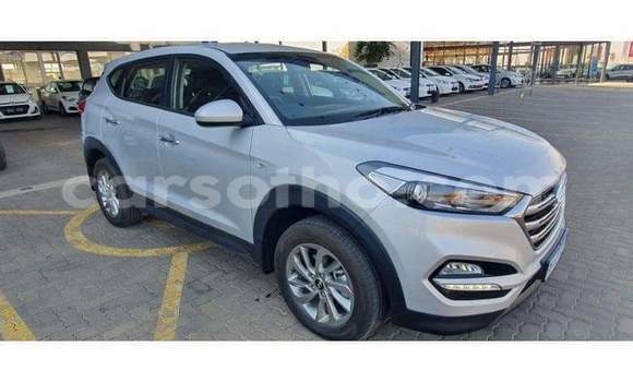 Buy Used Hyundai Tucson Silver Car in Mafeteng in Mafeteng Buy Used Hyundai Tucson Silver Car in Mafeteng in Mafeteng