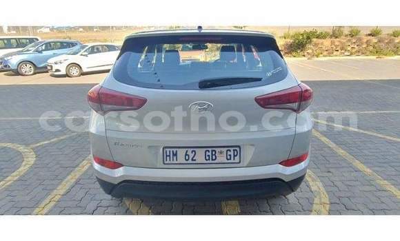 Buy Used Hyundai Tucson Silver Car in Mafeteng in Mafeteng Buy Used Hyundai Tucson Silver Car in Mafeteng in Mafeteng