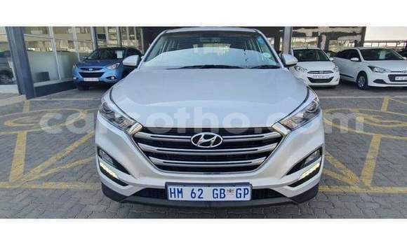 Buy Used Hyundai Tucson Silver Car in Mafeteng in Mafeteng Buy Used Hyundai Tucson Silver Car in Mafeteng in Mafeteng