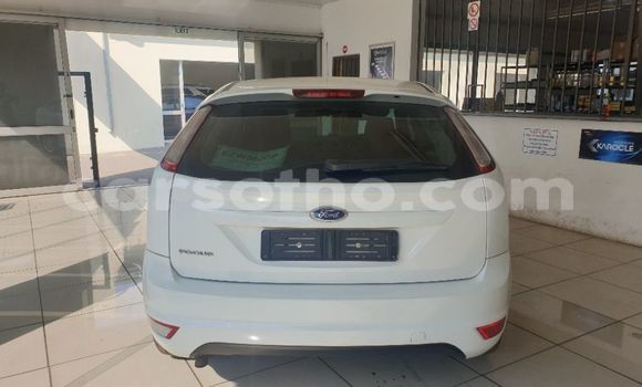 Buy Used Ford Focus White Car in Butha Buthe in Butha-Buthe Buy Used Ford Focus White Car in Butha Buthe in Butha-Buthe