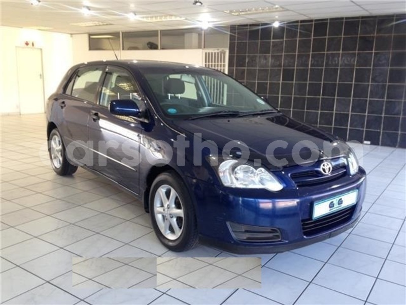 Big with watermark toyota runx maseru maseru 13019