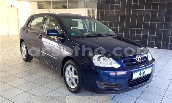 Acheter Occasion Voiture Toyota Runx Bleu à Maseru, Maseru Acheter Occasion Voiture Toyota Runx Bleu à Maseru, Maseru