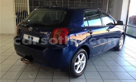 Acheter Occasion Voiture Toyota Runx Bleu à Maseru, Maseru Acheter Occasion Voiture Toyota Runx Bleu à Maseru, Maseru