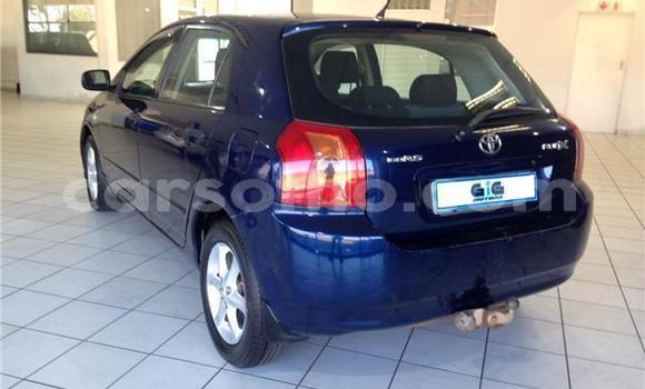 Acheter Occasion Voiture Toyota Runx Bleu à Maseru, Maseru Acheter Occasion Voiture Toyota Runx Bleu à Maseru, Maseru