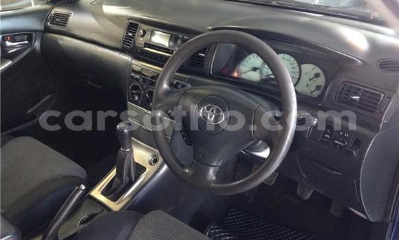 Acheter Occasion Voiture Toyota Runx Bleu à Maseru, Maseru Acheter Occasion Voiture Toyota Runx Bleu à Maseru, Maseru