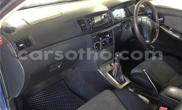 Acheter Occasion Voiture Toyota Runx Bleu à Maseru, Maseru Acheter Occasion Voiture Toyota Runx Bleu à Maseru, Maseru