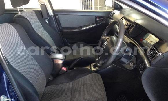 Acheter Occasion Voiture Toyota Runx Bleu à Maseru, Maseru Acheter Occasion Voiture Toyota Runx Bleu à Maseru, Maseru