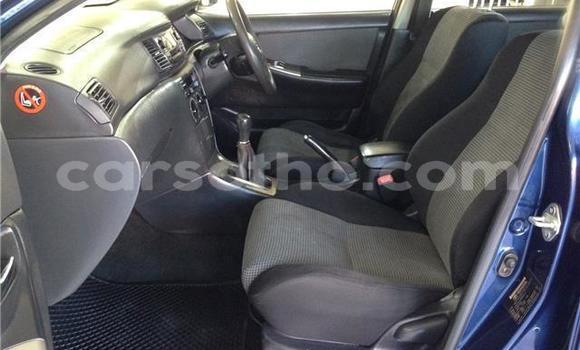 Acheter Occasion Voiture Toyota Runx Bleu à Maseru, Maseru Acheter Occasion Voiture Toyota Runx Bleu à Maseru, Maseru