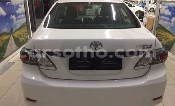 Sayi Na hannu Toyota Corolla White Mota in Maseru a Maseru Sayi Na hannu Toyota Corolla White Mota in Maseru a Maseru