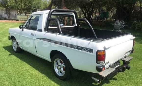 اشتري مستعمل Nissan Pickup White سيارة في Maseru في Maseru اشتري مستعمل Nissan Pickup White سيارة في Maseru في Maseru