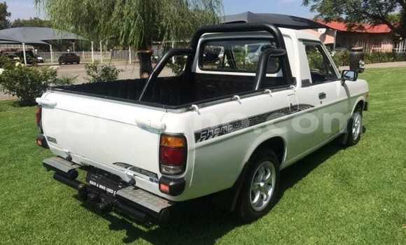 اشتري مستعمل Nissan Pickup White سيارة في Maseru في Maseru اشتري مستعمل Nissan Pickup White سيارة في Maseru في Maseru