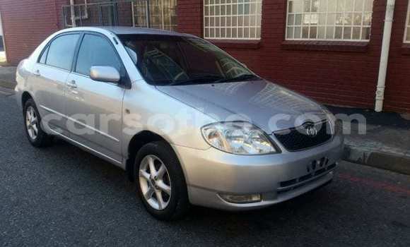 Acheter Occasion Voiture Toyota Corolla Gris à Maseru, Maseru Acheter Occasion Voiture Toyota Corolla Gris à Maseru, Maseru