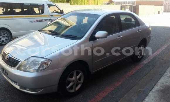 Acheter Occasion Voiture Toyota Corolla Gris à Maseru, Maseru Acheter Occasion Voiture Toyota Corolla Gris à Maseru, Maseru