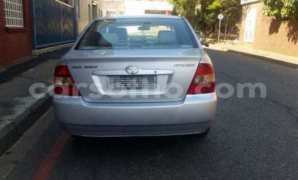 Acheter Occasion Voiture Toyota Corolla Gris à Maseru, Maseru Acheter Occasion Voiture Toyota Corolla Gris à Maseru, Maseru