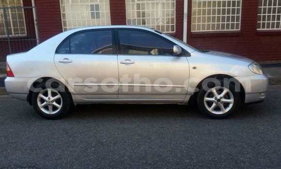 Acheter Occasion Voiture Toyota Corolla Gris à Maseru, Maseru Acheter Occasion Voiture Toyota Corolla Gris à Maseru, Maseru