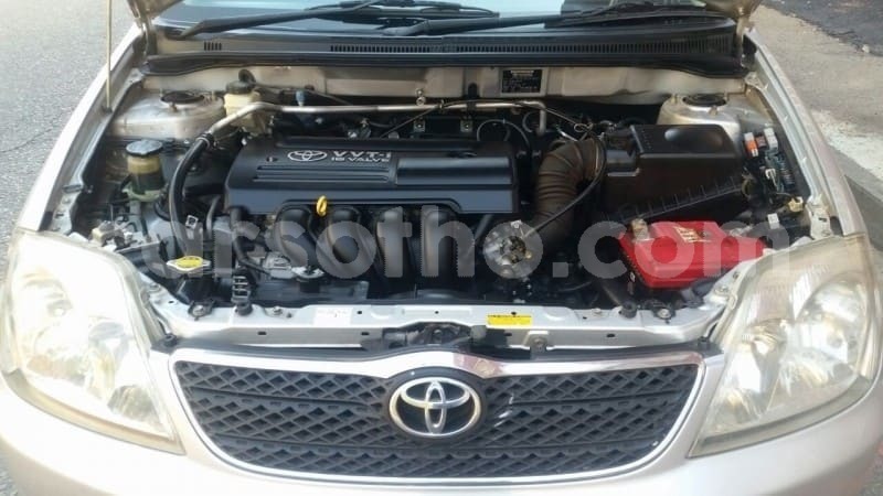 Big with watermark toyota corolla maseru maseru 13045