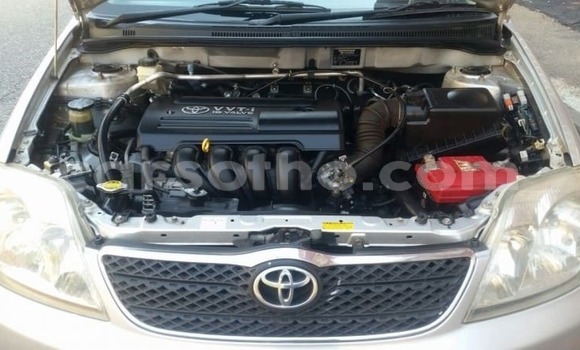 Acheter Occasion Voiture Toyota Corolla Gris à Maseru, Maseru Acheter Occasion Voiture Toyota Corolla Gris à Maseru, Maseru