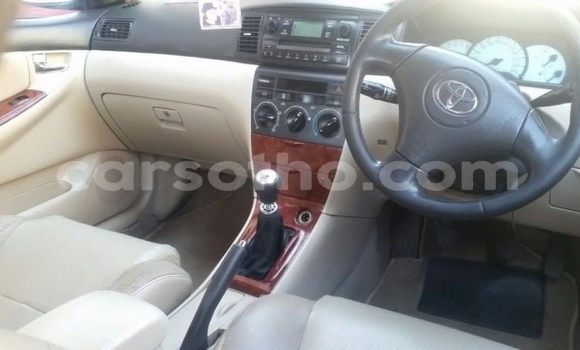 Acheter Occasion Voiture Toyota Corolla Gris à Maseru, Maseru Acheter Occasion Voiture Toyota Corolla Gris à Maseru, Maseru